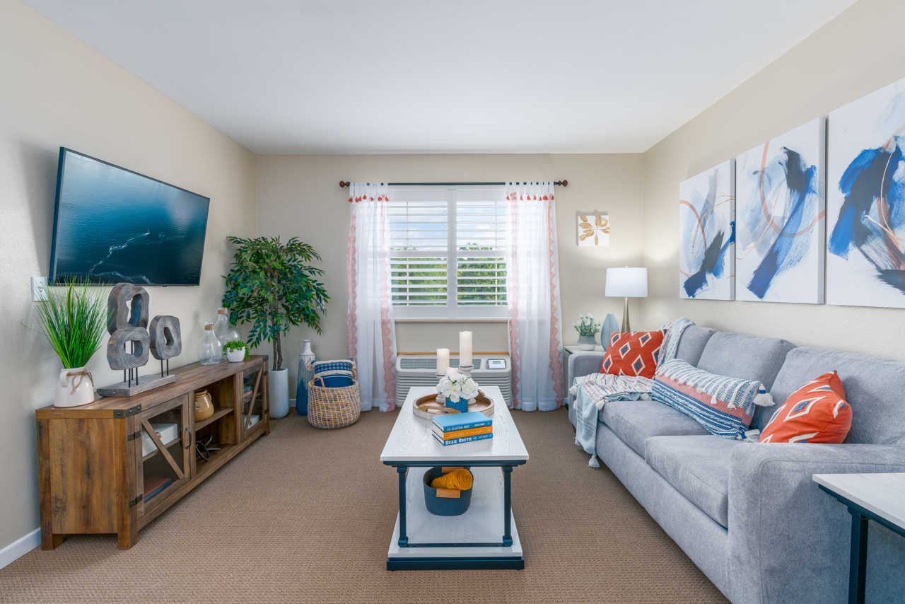 A bright, modern living room with a gray sofa, colorful pillows, abstract art, a coffee table, TV mounted on the wall, and plants. Light streams in through a window with sheer curtains.